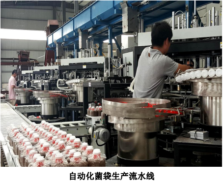 自动化菌袋生产流水线
