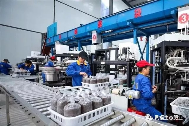 4_conew1.jpg 4_conew1.jpg